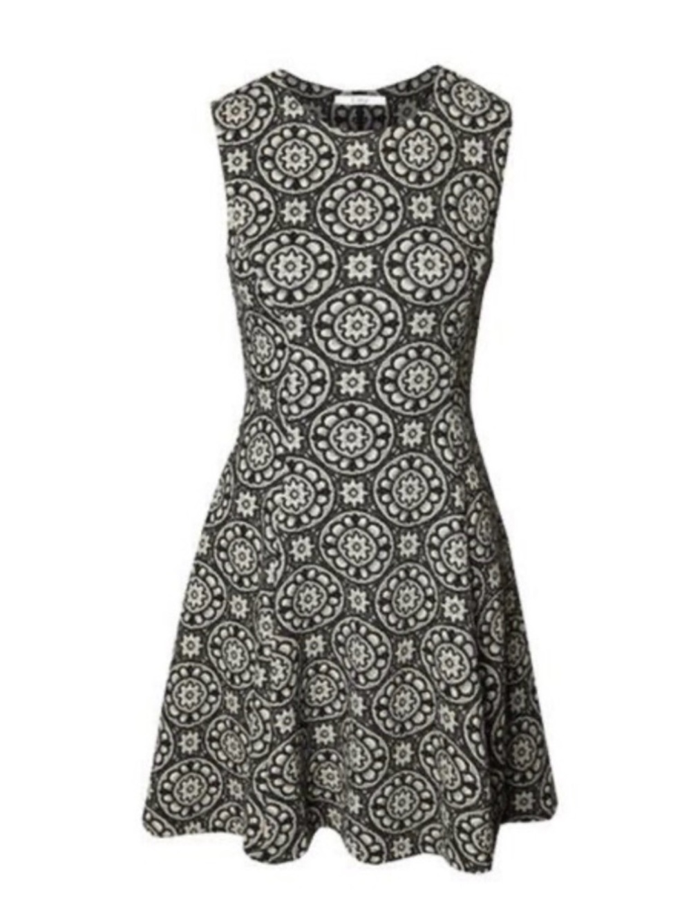 Zara Navy and White Sleeveless  Fit-and-Flare Dress